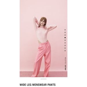 Zara Pink Wide Leg Trousers - Sz. M